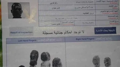 خطوات استخراج فيش وتشبيه مستعجل أونلاين 2026 وسعر الخدمة بالتفصيل والسهولة