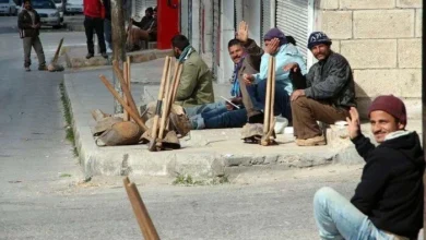 رابط الاستعلام لمنحة العمالة غير المنتظمة 2026 وصرف 1500 جنيه لكل عامل في مصر