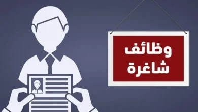 راتب 9000 جنيه في هذه التخصصات ورابط وخطوات التقديم في وظائف وزارة العمل