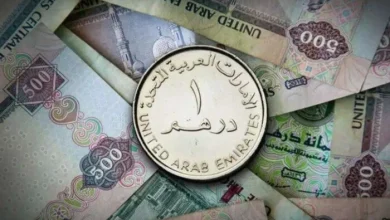 سعر الدرهم الإماراتي مقابل الجنيه المصري اليوم الثلاثاء 28 أبريل 2026 وتطورات السوق المالي