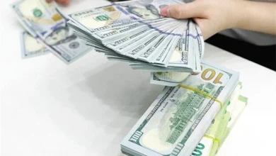 سعر الدولار اليوم مقابل الجنيه المصري الأربعاء 29 أبريل 2026 آخر تحديث وتفاصيل سعر العملة الخضراء