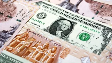 سعر الدولار في التعاملات الصباحية بالبنوك اليوم الأربعاء 29 أبريل وتأثيره على السوق المالي في مصر