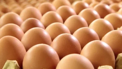 سعر كرتونة البيض اليوم الأحد 26 أبريل 2026 في المحلات وأهم التغيرات في السوق المحلية