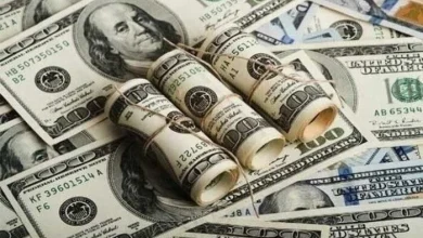 قبل ما تغير فلوسك تعرف على سعر الدولار اليوم مقابل الجنيه في البنوك وأحدث التطورات الاقتصادية
