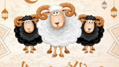 موعد إجازة عيد الأضحى 2026 وعدد أيام العطلة الرسمية والإجازات المتوقعة في البلاد