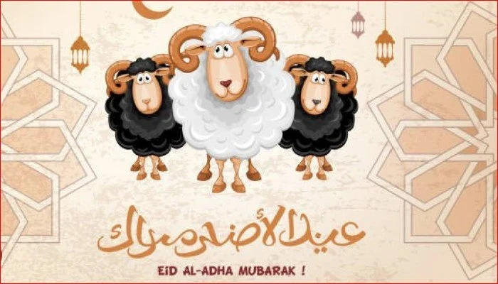 موعد وقفة عرفات 2026 وعدد أيام إجازة عيد الأضحى وتفاصيل العطلات الرسمية القادمة – مشاهير