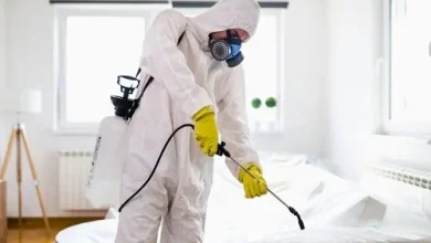 هل الرش وحده يكفي للقضاء على الحشرات خبراء يجيبون على أفضل طرق مكافحة الحشرات والوقاية منها