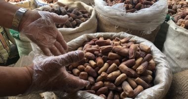 ارتفاع أسعار البلح السيوى والتمور في أسواق مطروح السبت 9 مايو 2026 – مشاهير