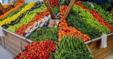 أسعار الخضروات والفواكه في المنوفية اليوم الخميس 14 مايو 2026 – مشاهير