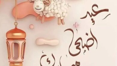 أجمل رسائل التهنئة بعيد الأضحى 2026 مكتوبة وصور متحركة مع أجمل العبارات الاحتفالية
