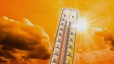 أجواء ربيعية مميزة وتفاصيل حالة الطقس اليوم الخميس مع درجات الحرارة المتوقعة