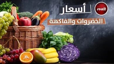 أسعار الخضروات والفاكهة اليوم الثلاثاء 5 مايو 2026 البطاطس بـ 12 جنيهاً وتفاصيل الأسعار كاملة