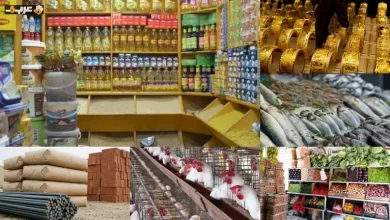 أسعار الدواجن والأسماك اليوم الأحد 31 مايو 2026 واستقرار ملحوظ رغم التراجع