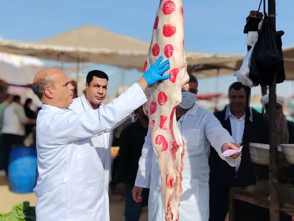 أسعار اللحوم الحمراء وأضاحي العيد اليوم الجمعة 8-5-2026 في جريدة المال