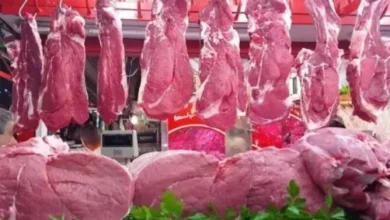 أسعار اللحوم اليوم في مصر ثالث أيام عيد الأضحى 2026 البتلو والكندوز كام