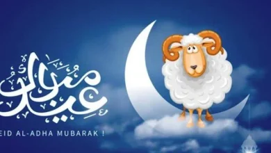 إجازة عيد الأضحى 2026 هل صدر قرار رسمي بمدها وكيف تؤثر على العمل والقطاعات المختلفة