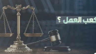 إطلاق خدمة كعب العمل إلكترونيا عبر منصة مصر الرقمية لتسهيل الحصول على الوظائف وفرص العمل