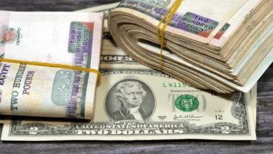استقرار أسعار الدولار في البنوك مع بداية تعاملات اليوم بشكل مستقر