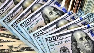استقرار سعر الدولار أمام الجنيه في بداية تعاملات 3 مايو 2026