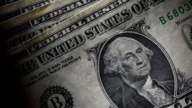 استقرار سعر الدولار أمام الجنيه في منتصف تعاملات اليوم الأحد 31 مايو 2026 وأثره على الأسواق المالية المصرية