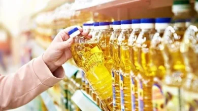 الاثنين المقبل فتح منافذ التموين لصرف سلع شهر يونيو 2026 لضمان تلبية احتياجات المواطنين