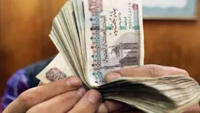 العمل تبدأ صرف منحتي العمالة غير المنتظمة بقيمة تتجاوز 767 مليون جنيه لدعم الفئات الأكثر احتياجاً