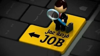 العمل تعلن توفير 660 وظيفة للشباب برواتب تصل إلى 10 آلاف جنيه فرص مميزة للتوظيف في السوق المصرية
