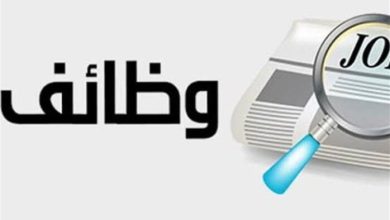 براتب 13 ألف جنيه شهريا وزارة العمل تعلن عن فرص عمل لسائقين في دمياط