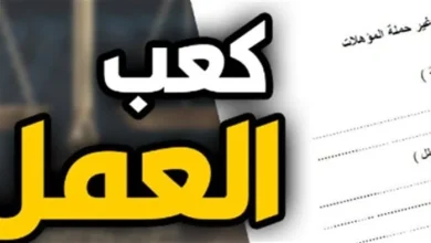 خطوات استخراج كعب العمل أونلاين عبر منصة مصر الرقمية بكل سهولة وبسرعة للباحثين عن العمل