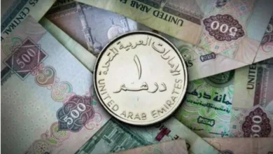 سعر الدرهم الإماراتي اليوم الأحد 31 مايو 2026 آخر تحديث لأحدث تحركات السوق والعملات الأجنبية