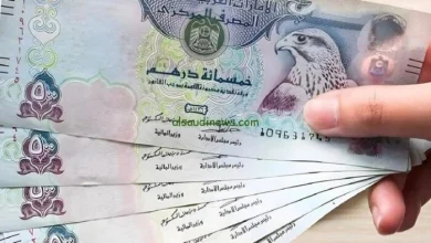 سعر الدرهم الإماراتي مقابل الجنيه اليوم السبت 2 مايو 2026 وتحليل حركة العملات في السوق المحلية