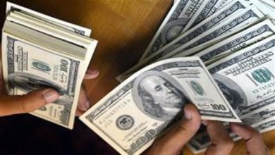 سعر الدولار مقابل الجنيه اليوم الثلاثاء ٥ ٥ ٢٠٢٦ مع بداية التعاملات في السوق المحلي