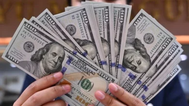 سعر الدولار مقابل الجنيه في منتصف تعاملات اليوم الأربعاء 20 مايو 2026 وأهم تحركات السوق المالية