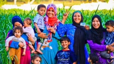 طريقة الاستعلام عن معاش تكافل وكرامة 2026 بالرقم القومي بسهولة وأهم خطوات التقديم