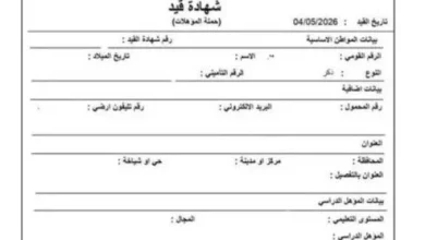 منصة مصر الرقمية خطوات استخراج كعب العمل أونلاين بسهولة وسرعة بدون الحاجة لزيارة مكاتب العمل