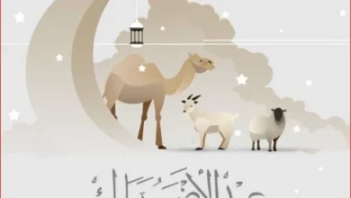 موعد وقفة عرفات وعيد الأضحى 2026 وقائمة الإجازات المتبقية حتى نهاية العام كاملة