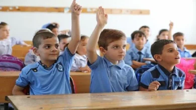 نتيجة الصف السادس الابتدائي بالاسم ورقم الجلوس إعلان مفصل ومحدث لجميع الطلاب والطالبات