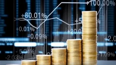 نصائح مهمة تهمك قبل البدء في الاستثمار في صناديق الاستثمار لضمان تحقيق أفضل العوائد المالية