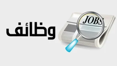 وزارة العمل تعلن 4145 وظيفة جديدة في 11 محافظة التخصصات وطريقة التقديم