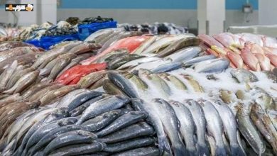 أسعار السمك والجمبري اليوم الأحد 28 يونيو 2026 أحدث التحديثات عن سعر السوق وأسعار البيع