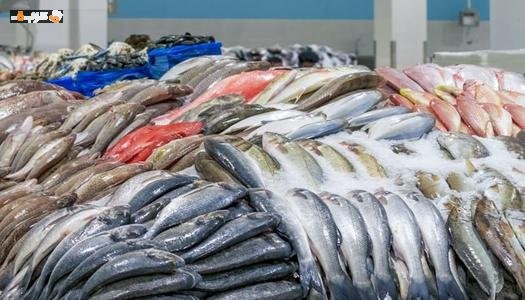 أسعار السمك والجمبري اليوم الأحد 28 يونيو 2026 أحدث التحديثات عن سعر السوق وأسعار البيع