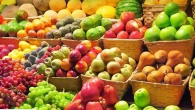 أسعار الفاكهة في سوق العبور اليوم الأحد 28 يونيو 2026 وتفاصيل حركة البيع والشراء