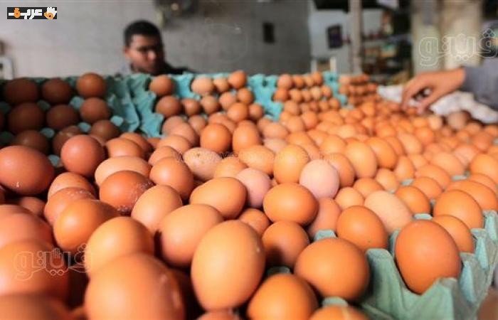 ارتفاع سعر كرتونة البيض وتراجع الذهب مع قفزة 15.6% في صادرات مصر لمجموعة السبع والبورصة تربح 11 مليار جنيه