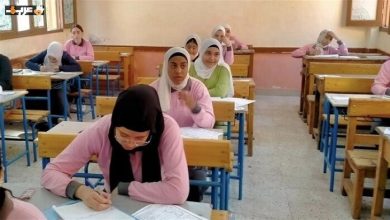 استعلام عن نتيجة أولى وثانية ثانوي 2026 في القاهرة بالرقم القومي بأسهل الطرق المتاحة