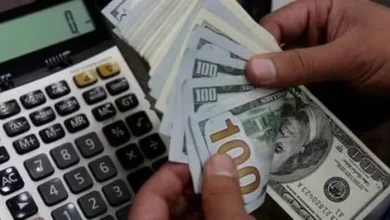 الدولار يستقر أمام الجنيه في تعاملات اليوم الاثنين 15 يونيو 2026 في جميع البنوك المصرية