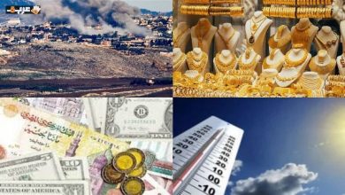 الزراعة تكشف سر ارتفاع إنتاج القمح وسط تحديات المناخ وأسعار الذهب والعملات تتحرك بخطى مثيرة