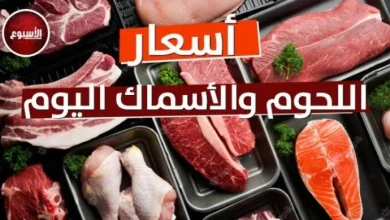 الكبدة البلدي بـ 400 جنيه وأسعار اللحوم اليوم الخميس 4 يونيو 2026 وتحديثات السوق اللحوم في مصر