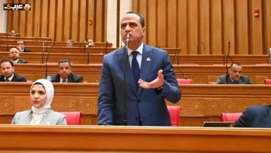 النائب ممدوح جاب الله يكشف كيف يعزز قانون أيلولة أرباح الشركات موارد الخزانة العامة
