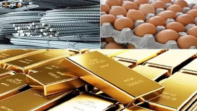 انفجار أسعار الطماطم والدواجن والجبن والذهب في 15 يونيو 2026