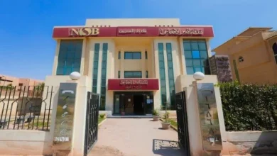 بنك ناصر الاجتماعي يعلن عن توفير صرف المعاش مبكرًا مع كشف الفئات المستهدفة والمستفيدة من الخدمة